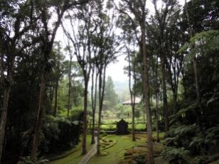 Botanical Gardens - Bali